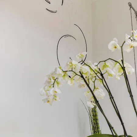Appartement Vrijdagmarkt By Lit D'art